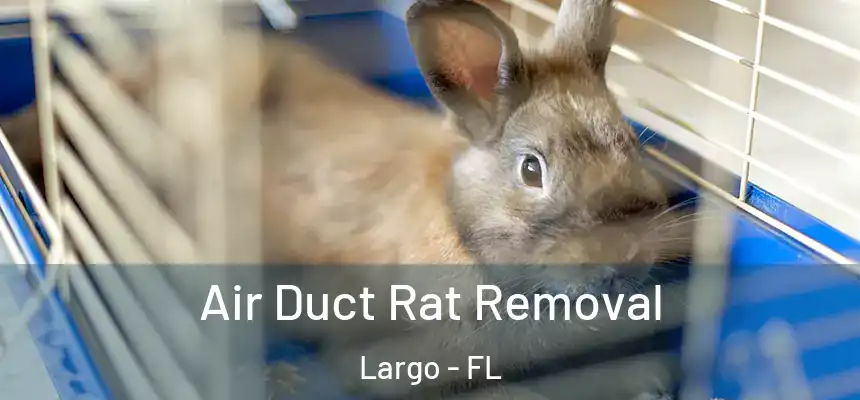  Air Duct Rat Removal Largo - FL